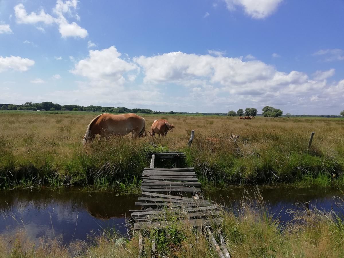 Комплексы для отдыха с коттеджами/бунгало Dom gościnny Ptaszarnia - Ekologia i Natura i 3000 m prywatnej oazy ciszy i spokoju z widokiem na rezerwat ptaków Karsiborska Kępa Свиноуйсьце-46