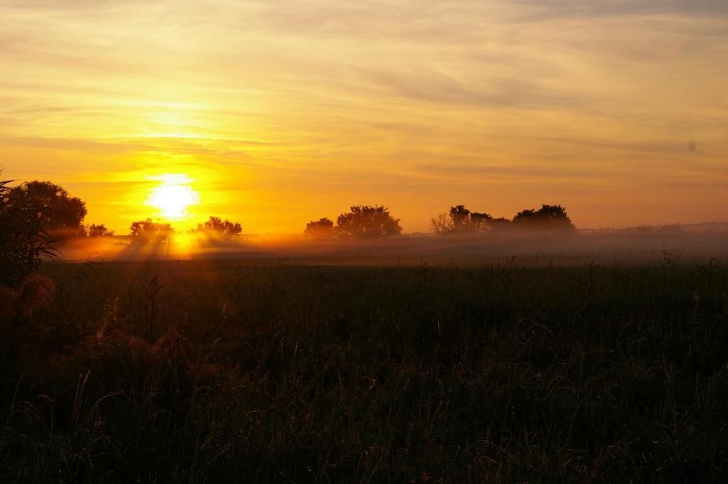 Комплексы для отдыха с коттеджами/бунгало Dom gościnny Ptaszarnia - Ekologia i Natura i 3000 m prywatnej oazy ciszy i spokoju z widokiem na rezerwat ptaków Karsiborska Kępa Свиноуйсьце