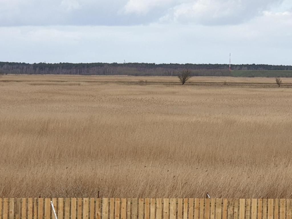 Комплексы для отдыха с коттеджами/бунгало Dom gościnny Ptaszarnia - Ekologia i Natura i 3000 m prywatnej oazy ciszy i spokoju z widokiem na rezerwat ptaków Karsiborska Kępa Свиноуйсьце