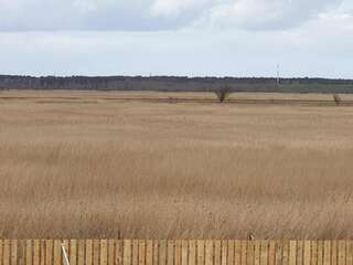 Комплексы для отдыха с коттеджами/бунгало Dom gościnny Ptaszarnia - Ekologia i Natura i 3000 m prywatnej oazy ciszy i spokoju z widokiem na rezerwat ptaków Karsiborska Kępa Свиноуйсьце Двухместный номер с 1 кроватью и собственной ванной комнатой-22